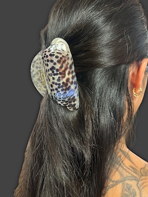 Shell Claw Clip                                                            